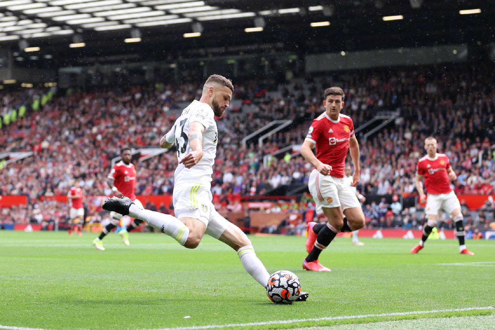 总能展现出 总能展现出